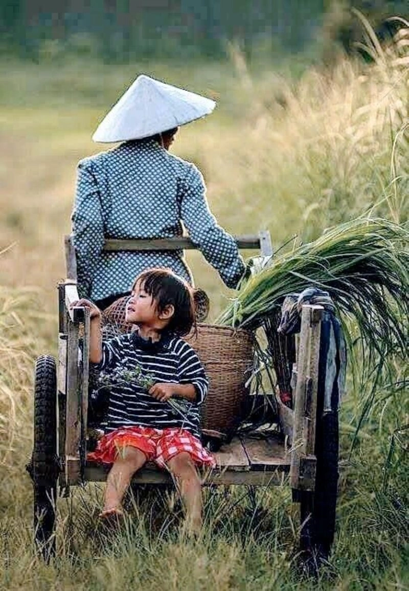 hình ảnh cha mẹ đẹp nhất