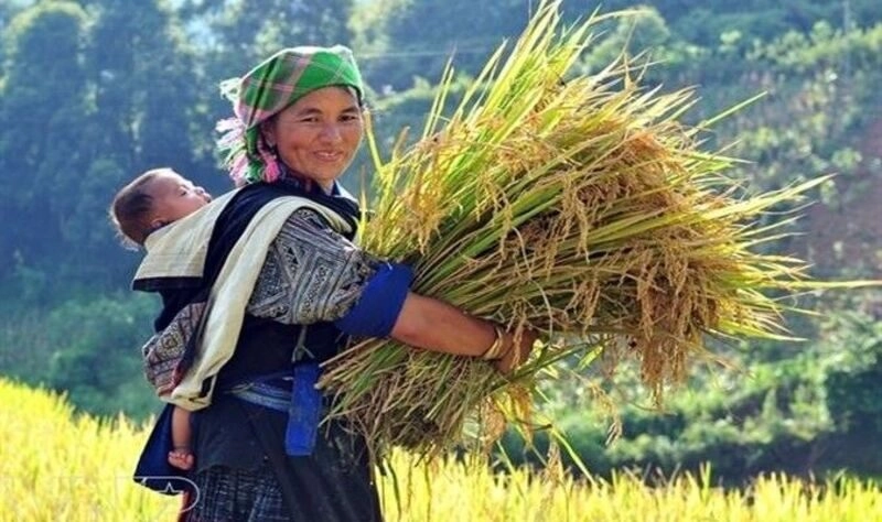 hình ảnh cha mẹ đẹp nhất