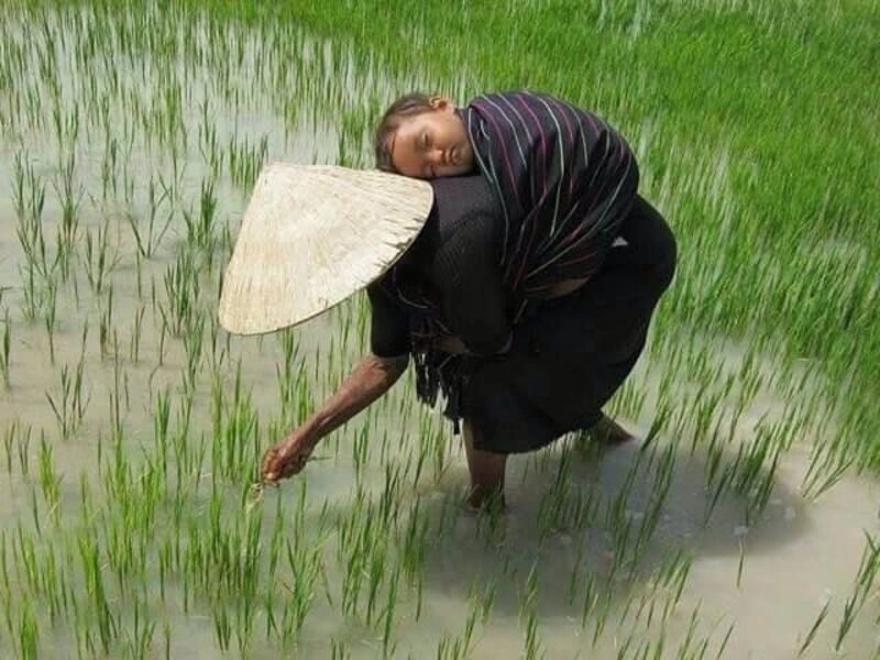 hình ảnh cha mẹ đẹp nhất