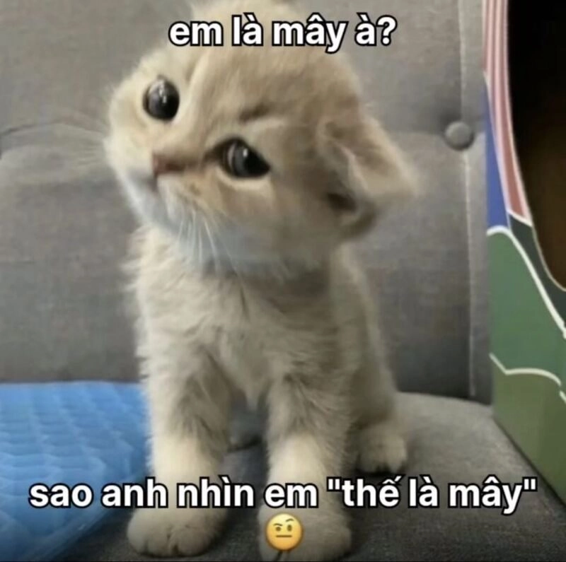 ảnh chế bí kíp tán gái