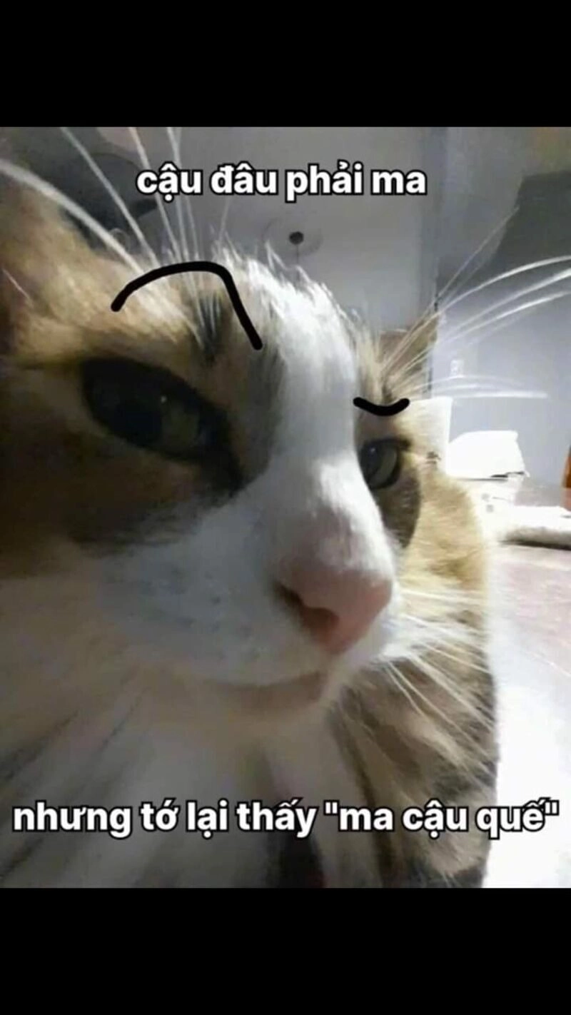 ảnh chế bí kíp tán gái