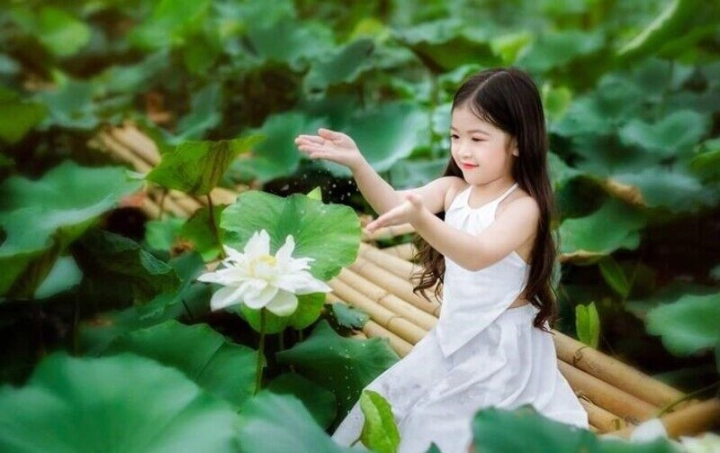 chụp ảnh sen cho bé gái