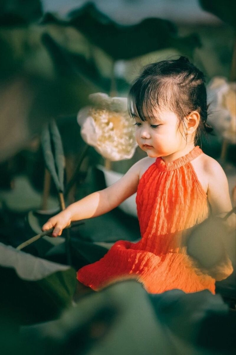 chụp ảnh sen cho bé gái