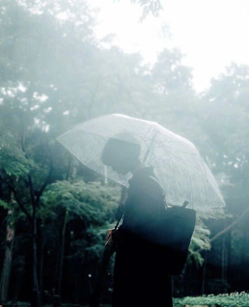 Hình ảnh cô gái xinh đẹp cầm ô đi dưới mưa xinh đẹp