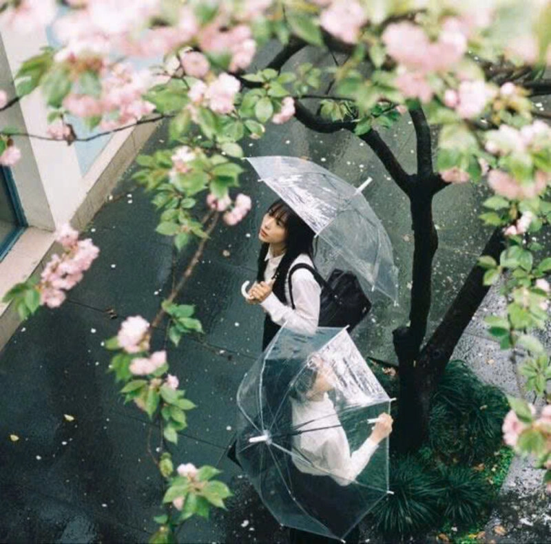 Hình ảnh cô gái xinh đẹp cầm ô đi dưới mưa xinh đẹp