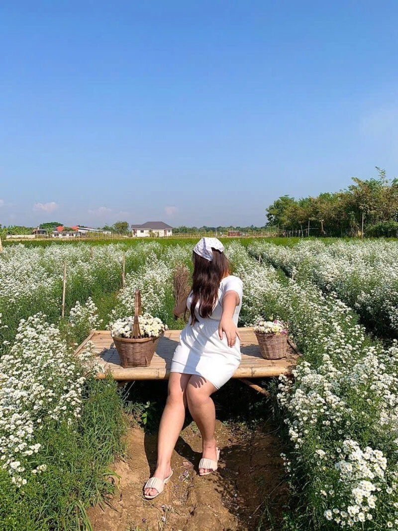 Hình ảnh cô gái mũm mĩm che mặt xinh đẹp